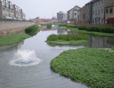 黑臭水體治理技術
